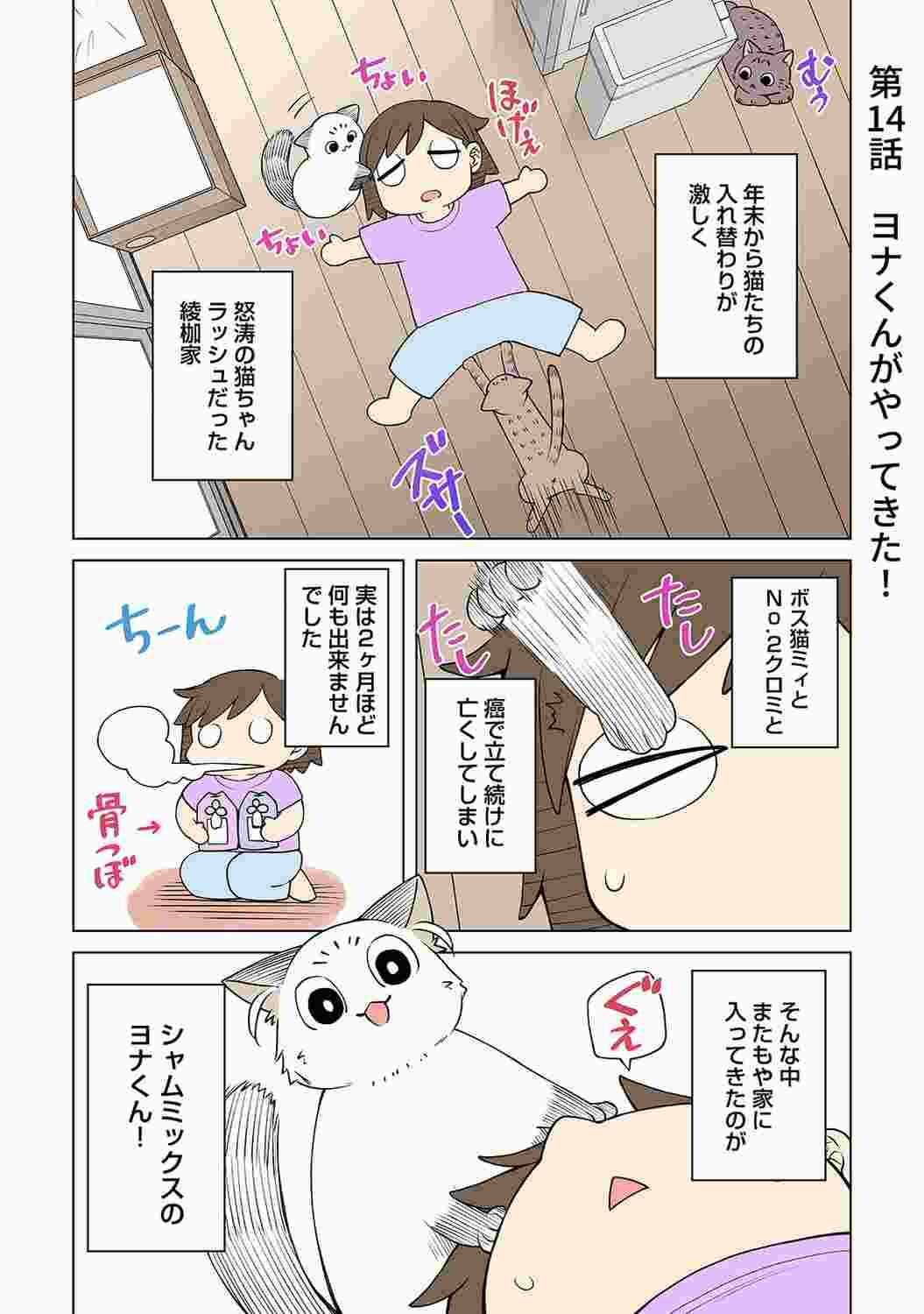 Page 223