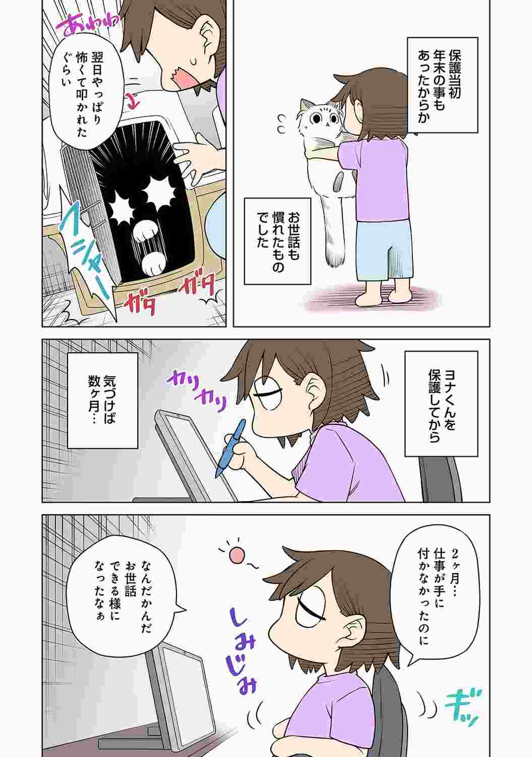 Page 224