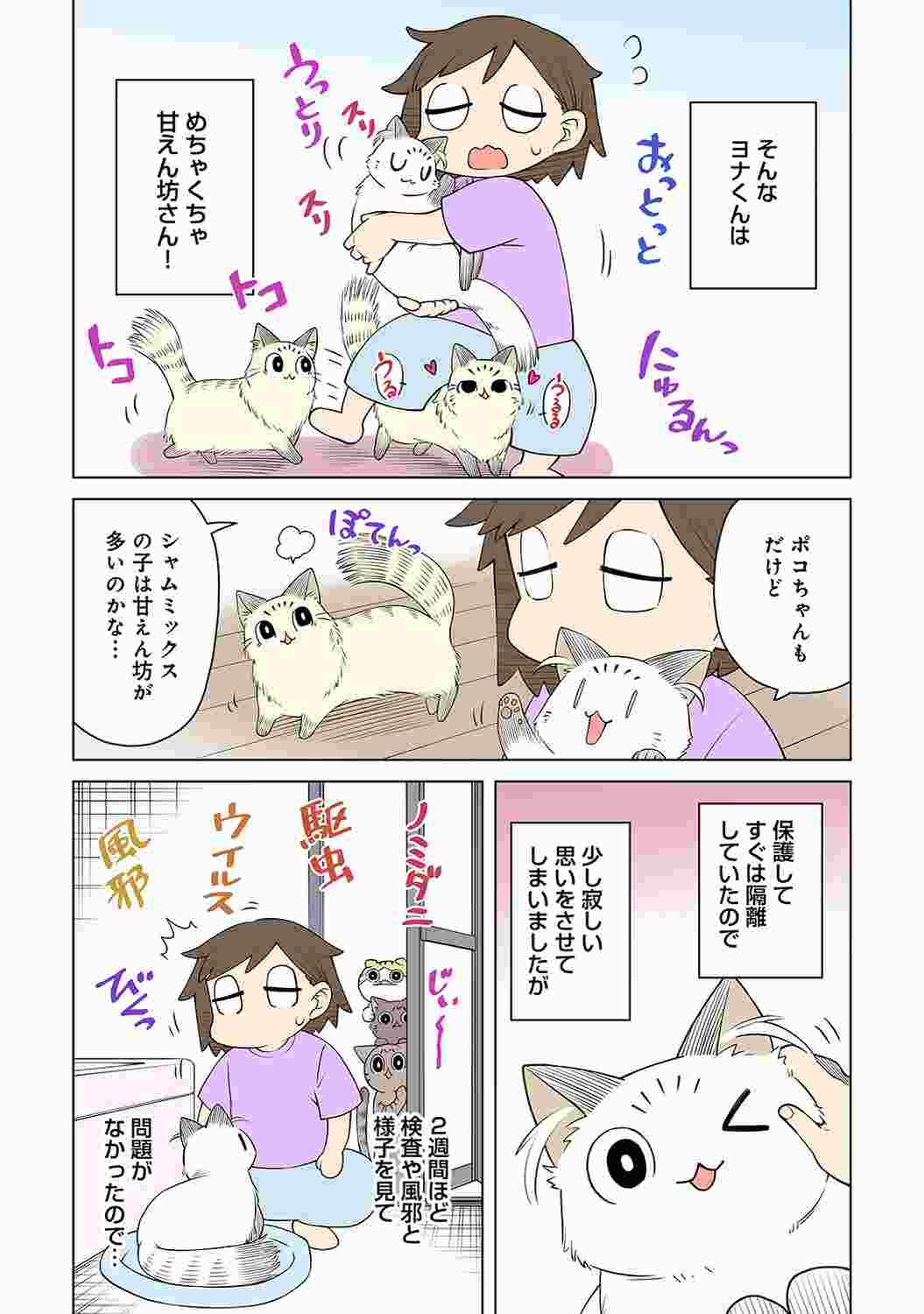 Page 225