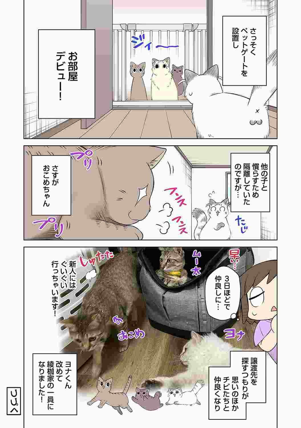 Page 226