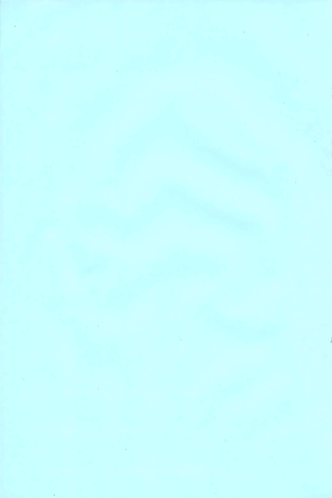Page 247