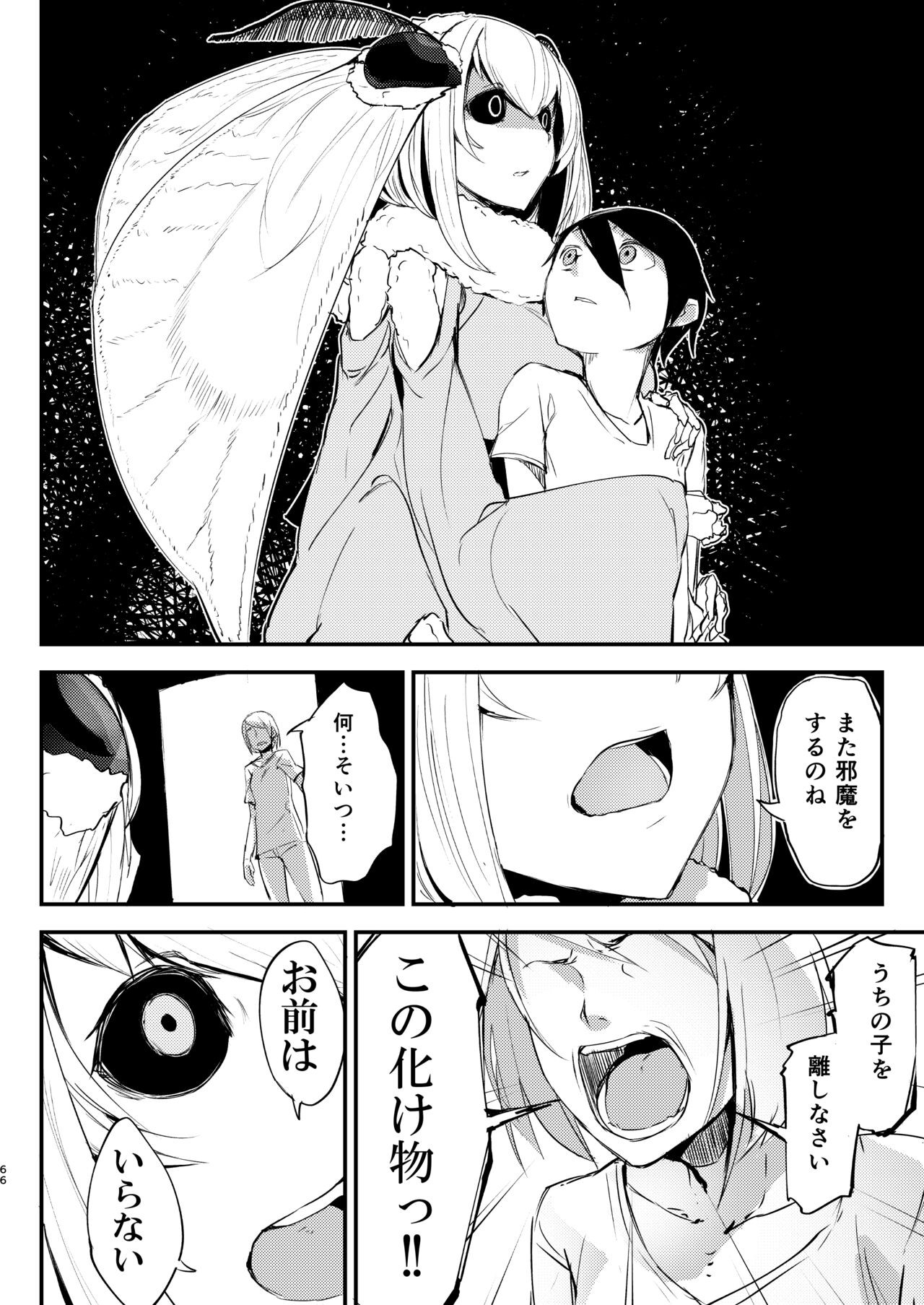 Page 67