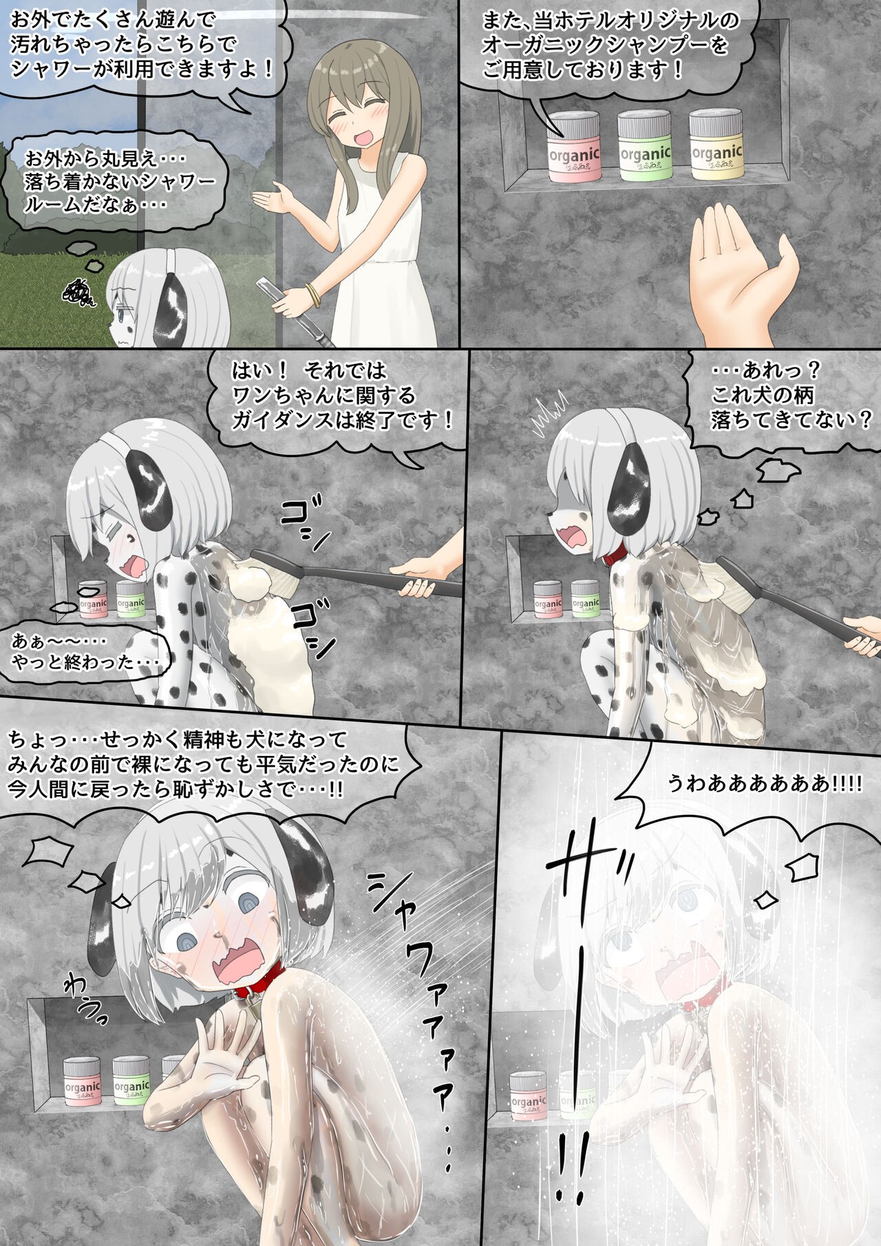 Page 52