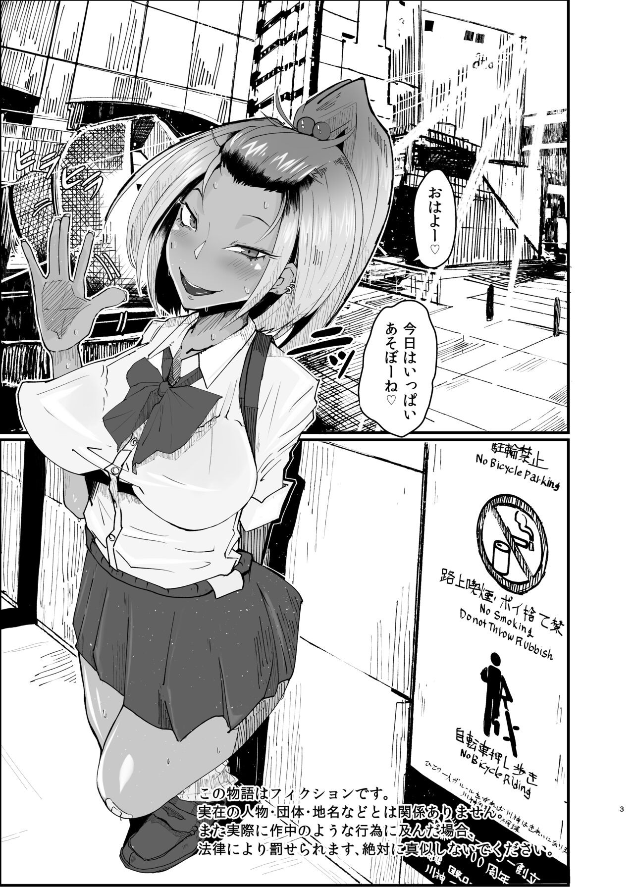 Page 3