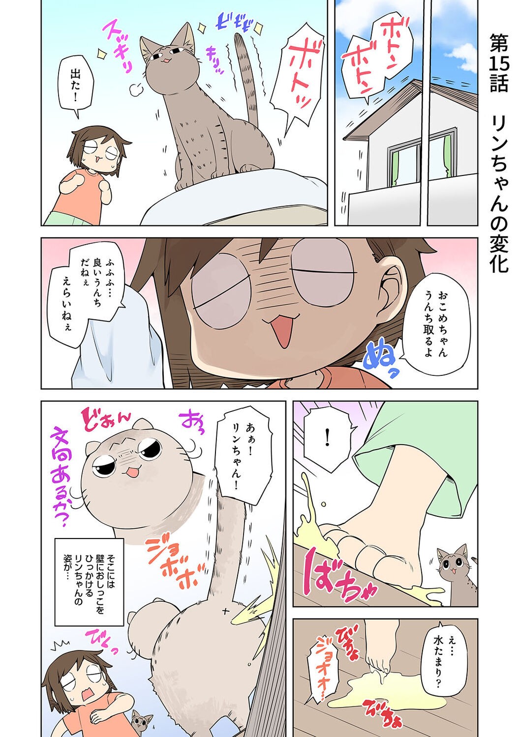 Page 251
