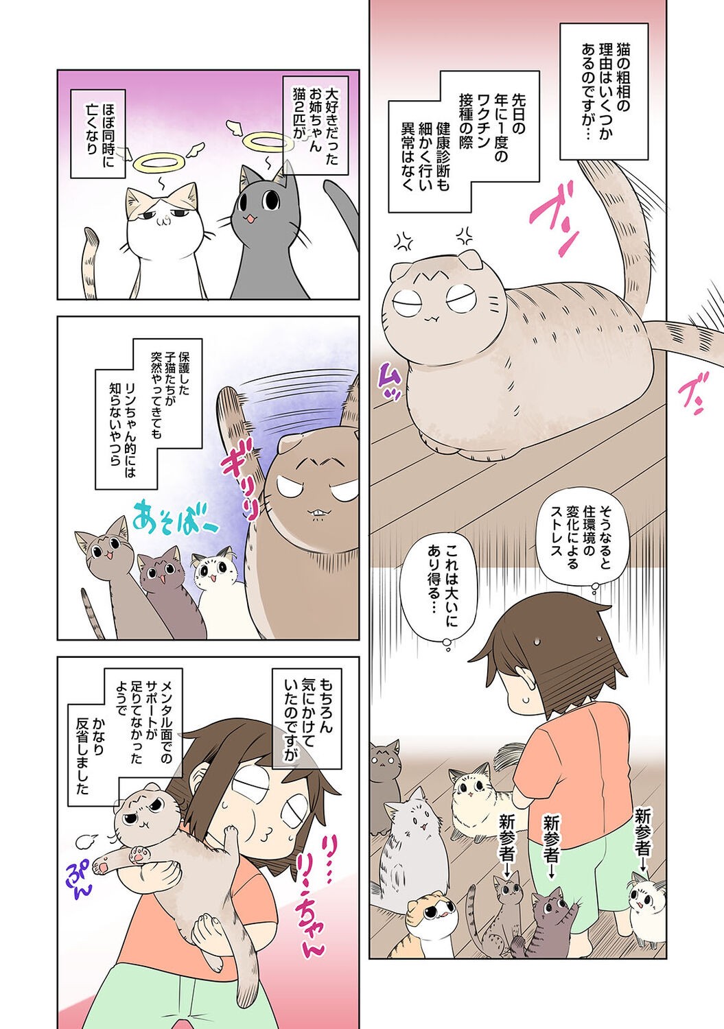 Page 252