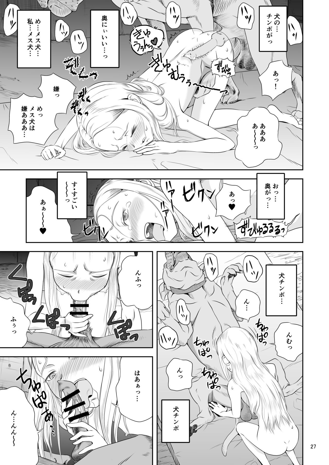Page 27