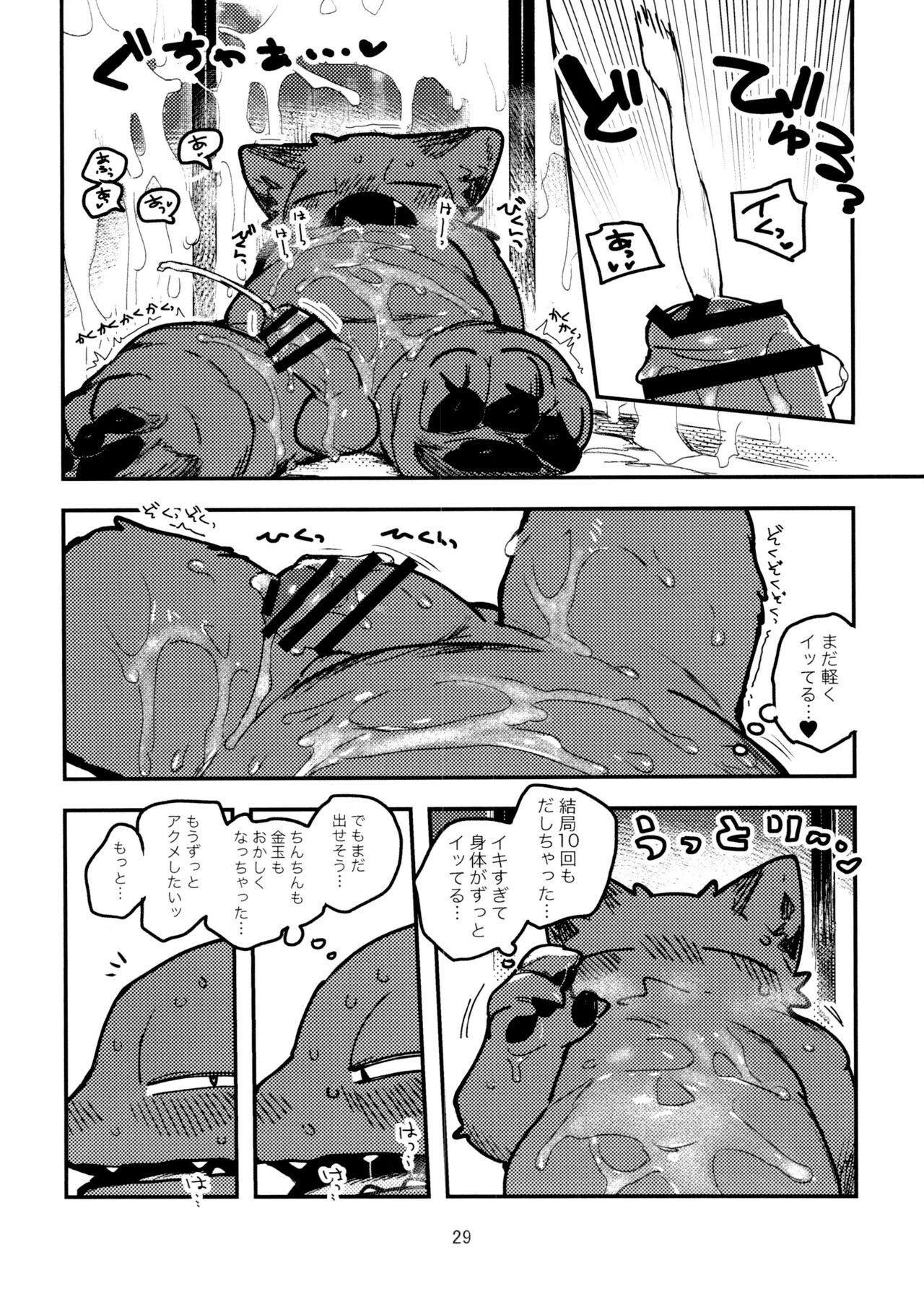 Page 29