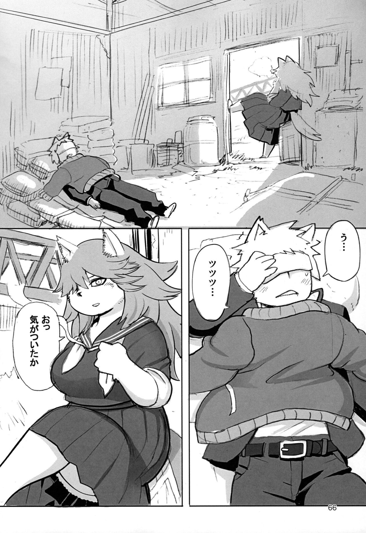 Page 66