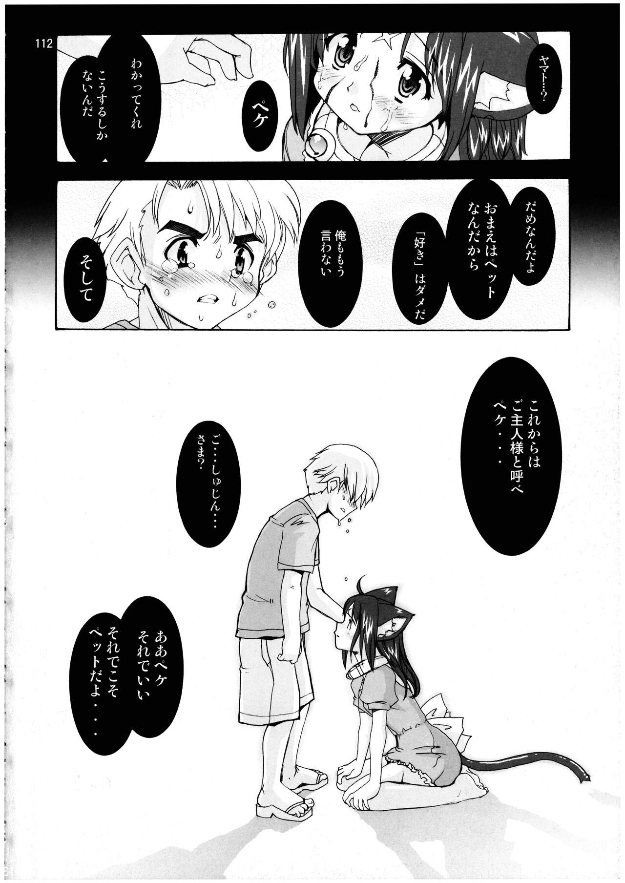 Page 112