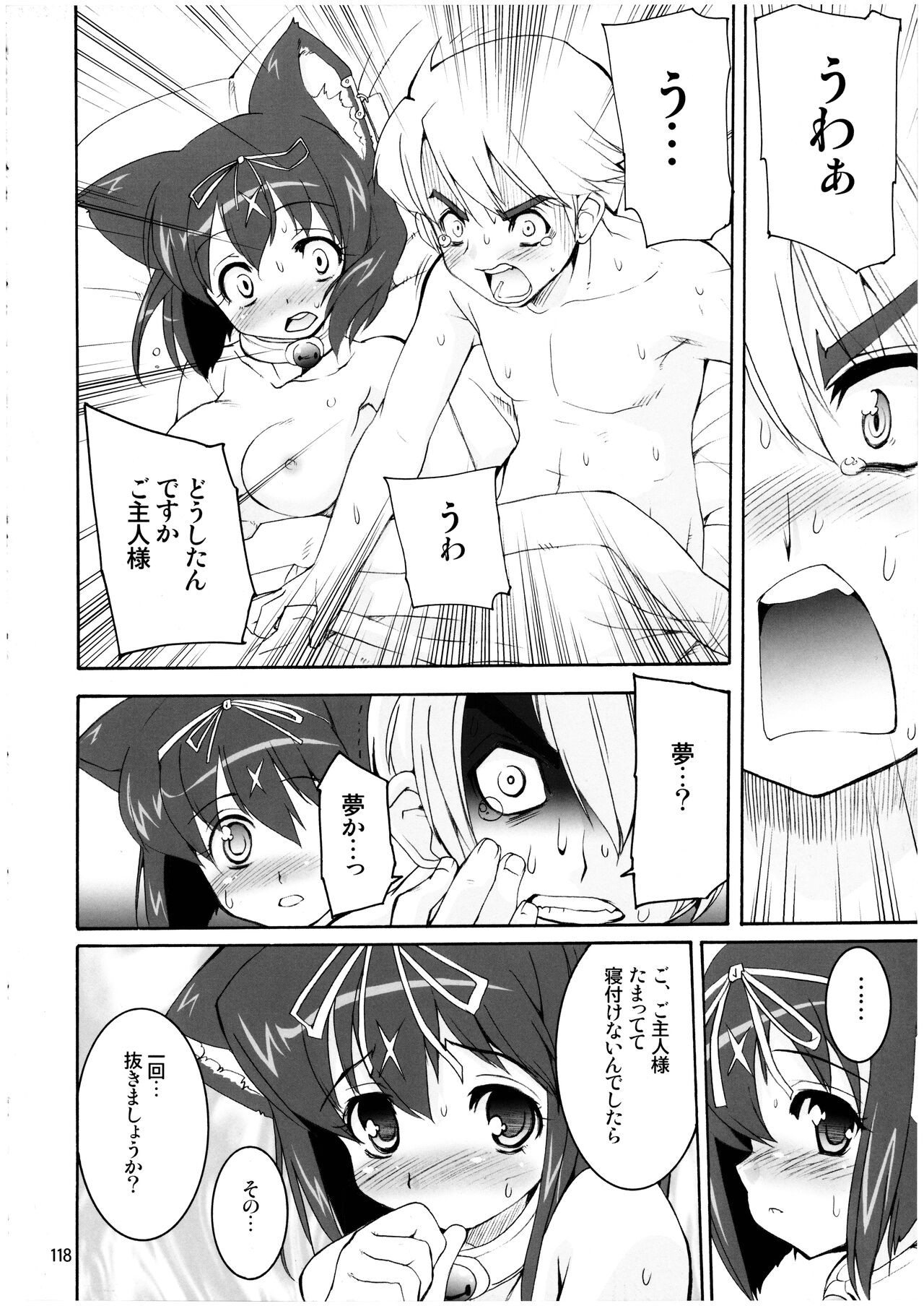 Page 118