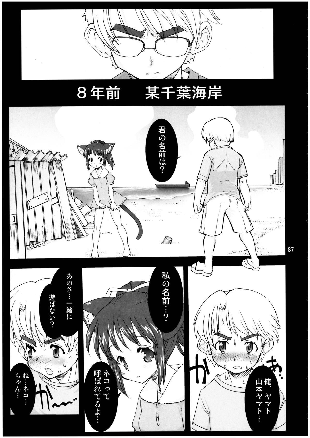 Page 87