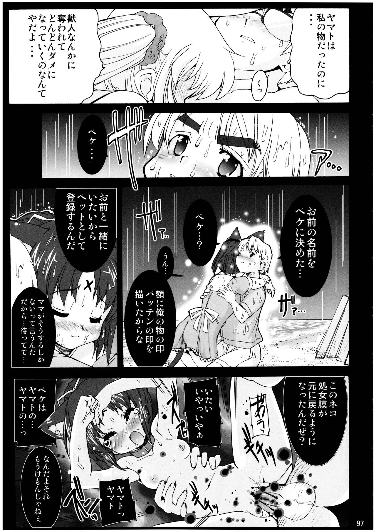 Page 97