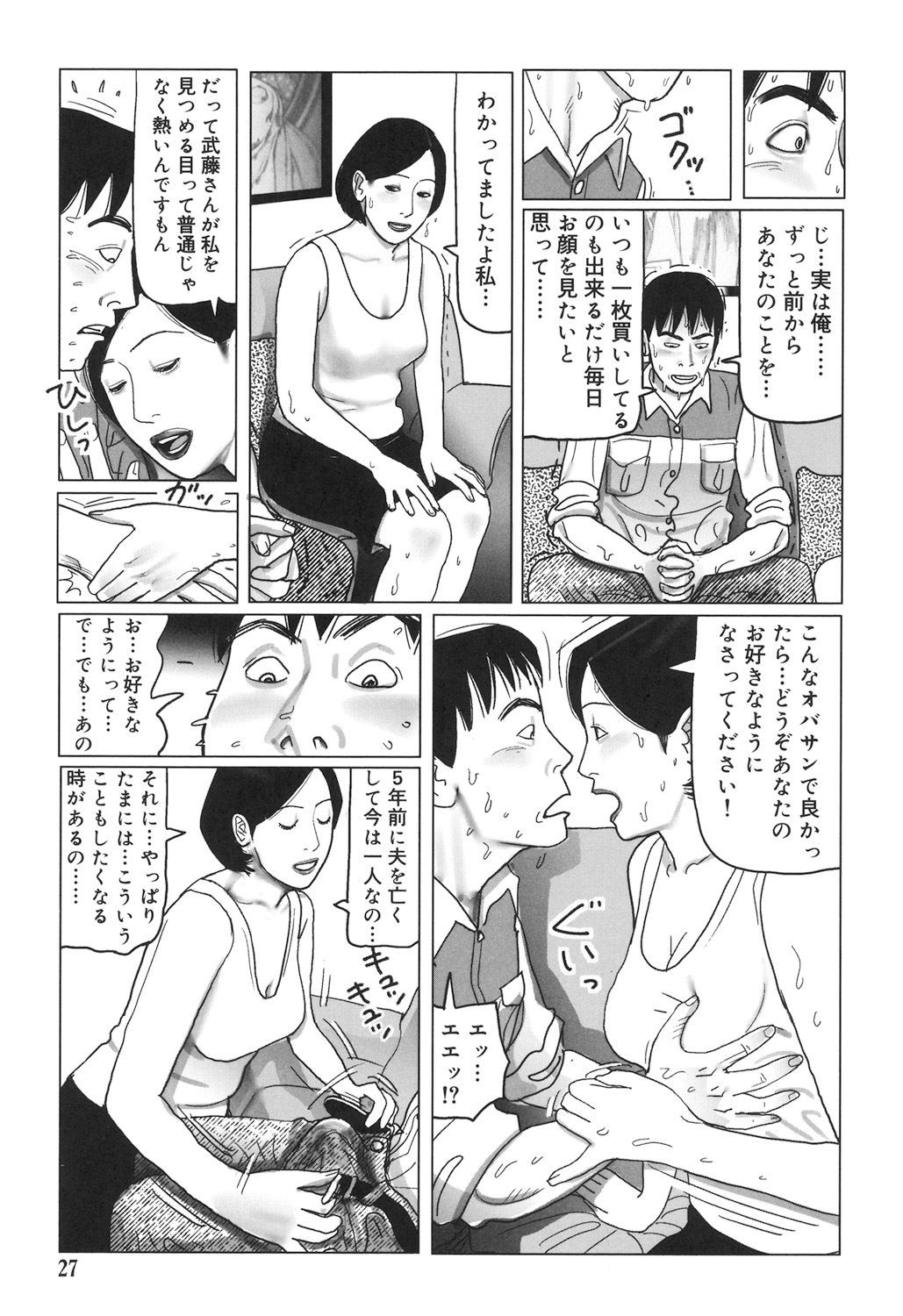Page 27