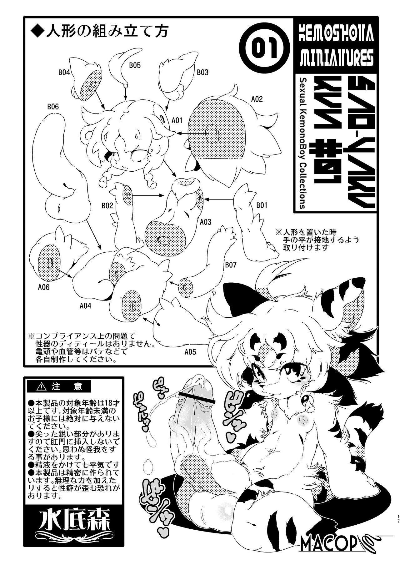 Page 17