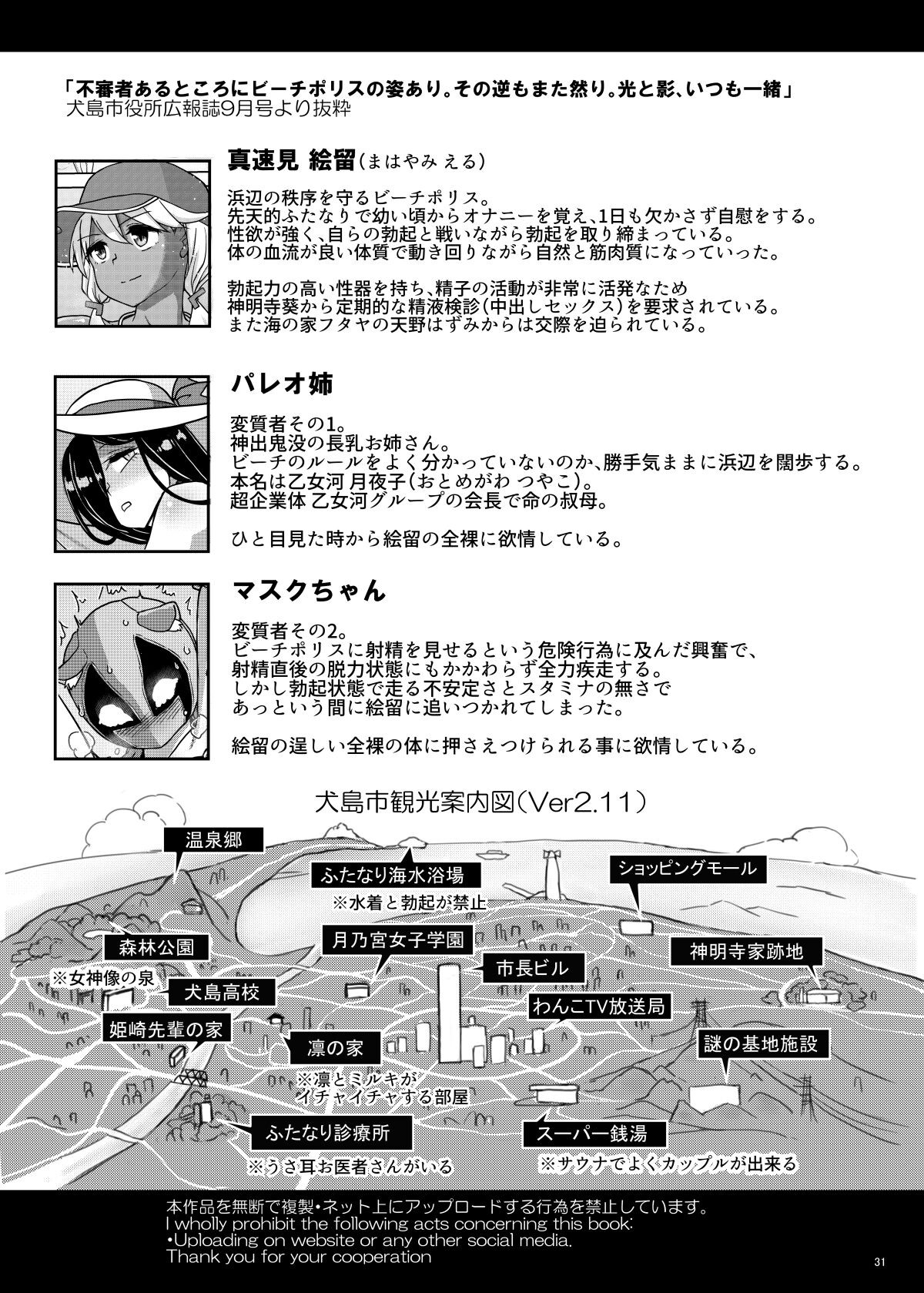 Page 31