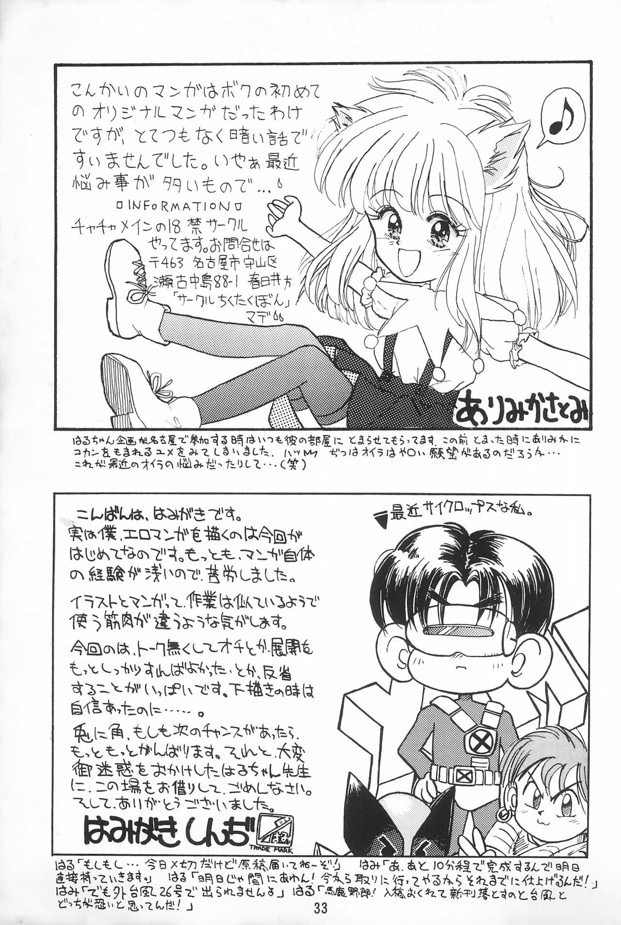 Page 33