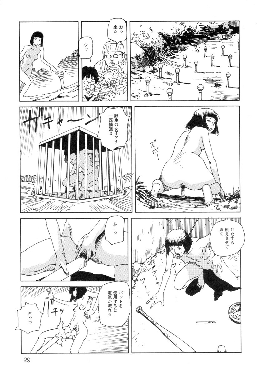 Page 31