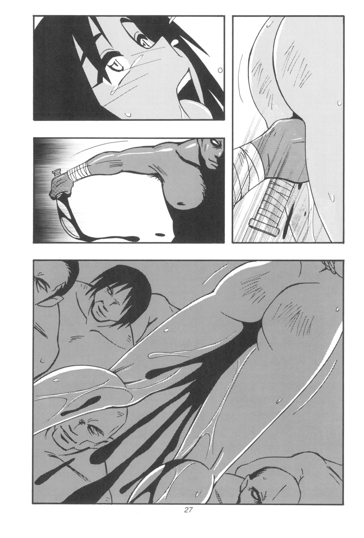 Page 27
