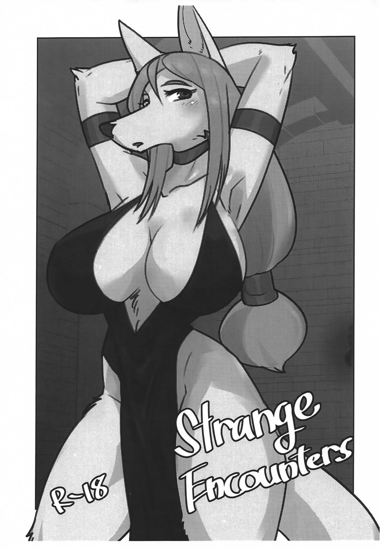 (けもケット12) Strange Encounters