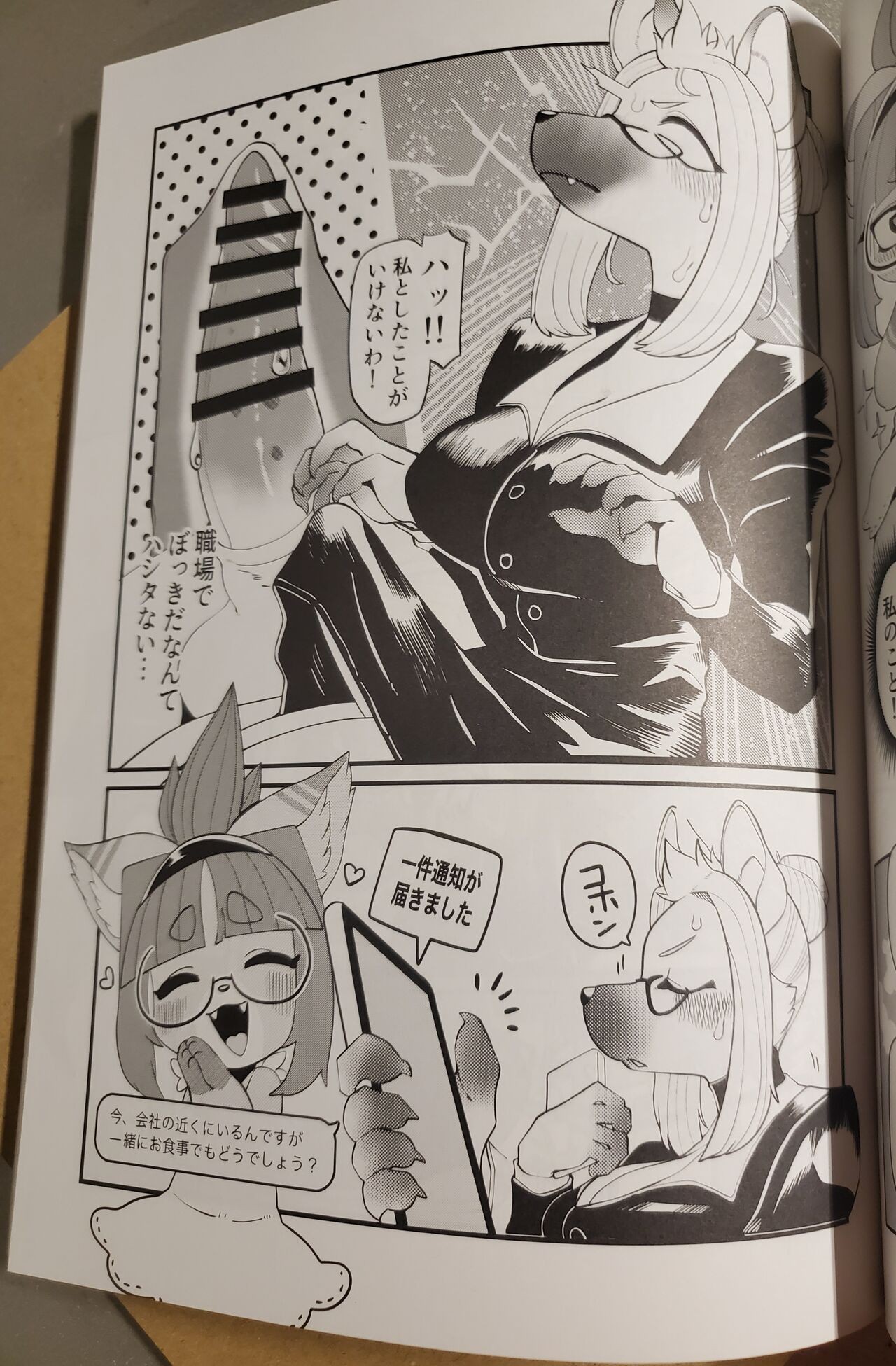 Page 51