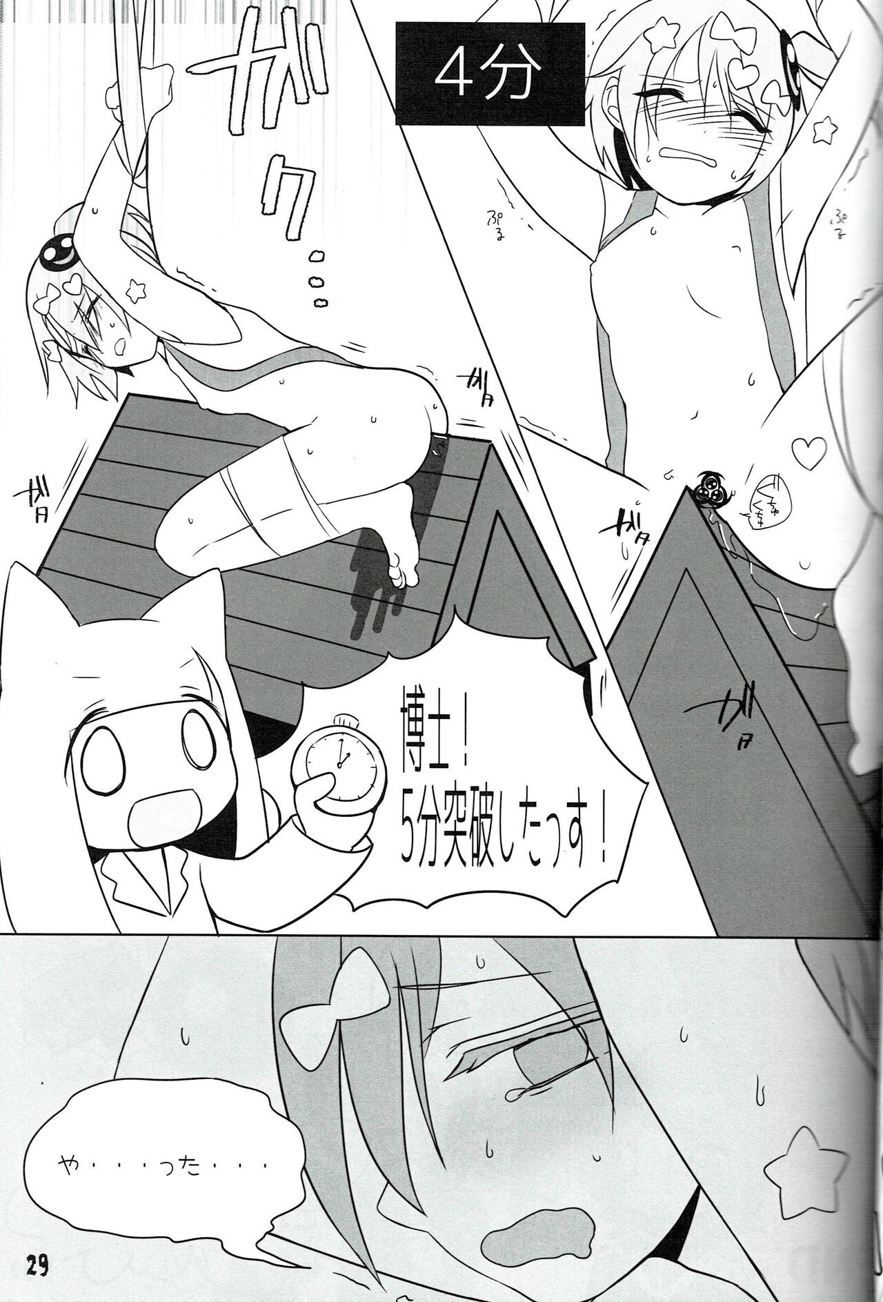 Page 29