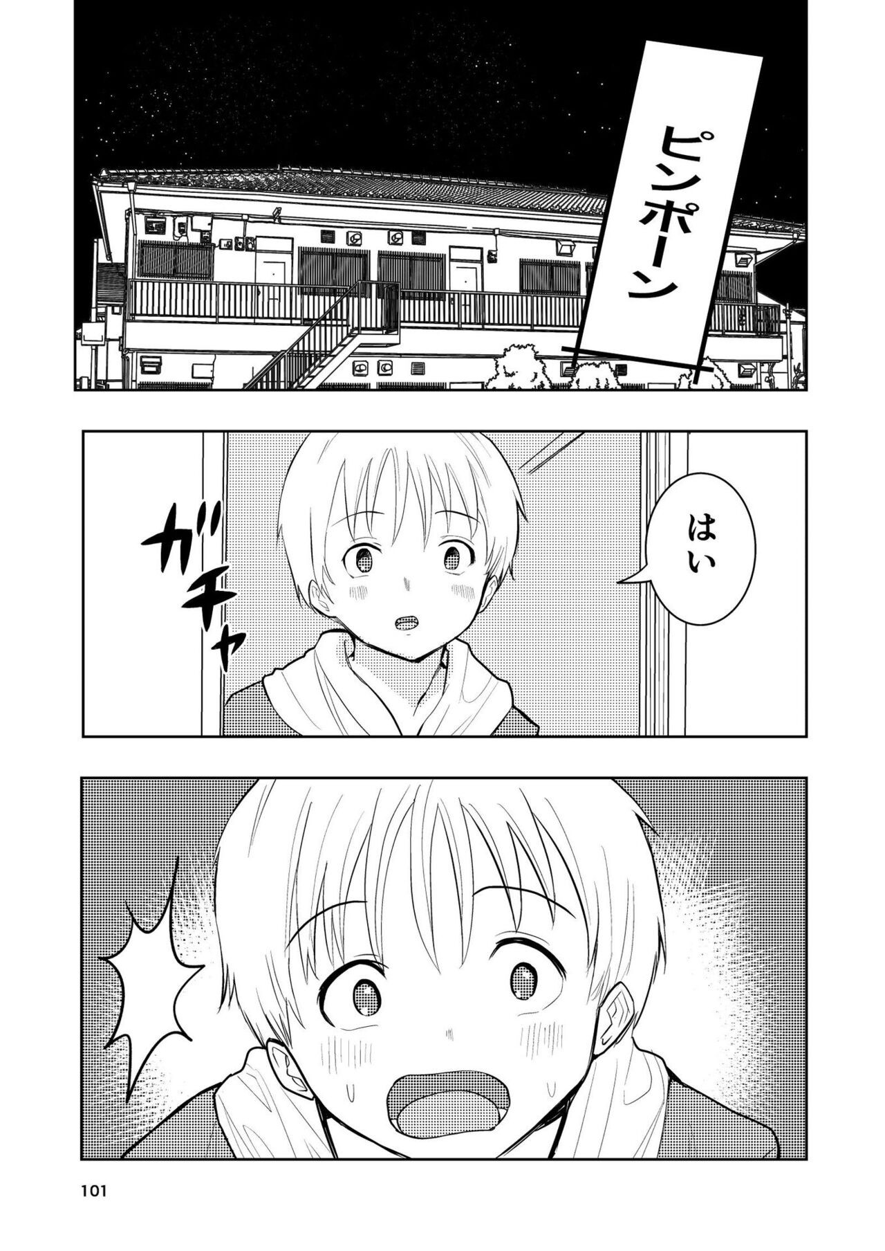 Page 101