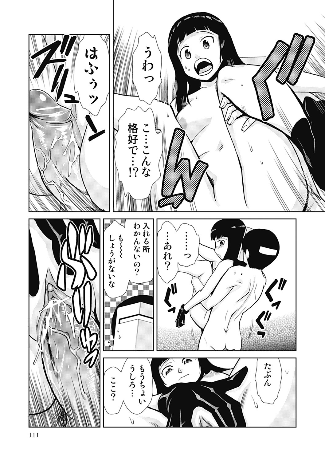 Page 111