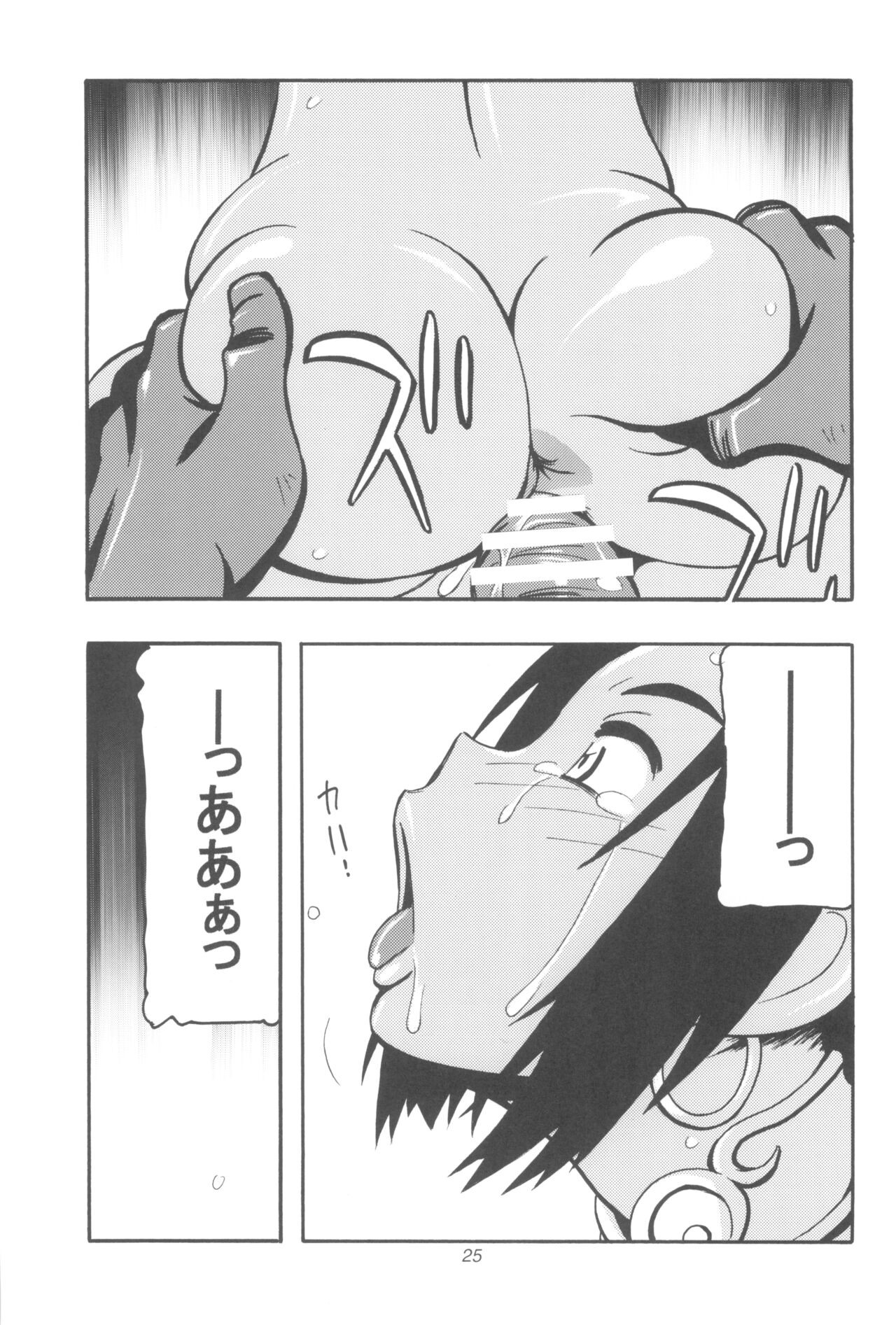 Page 25