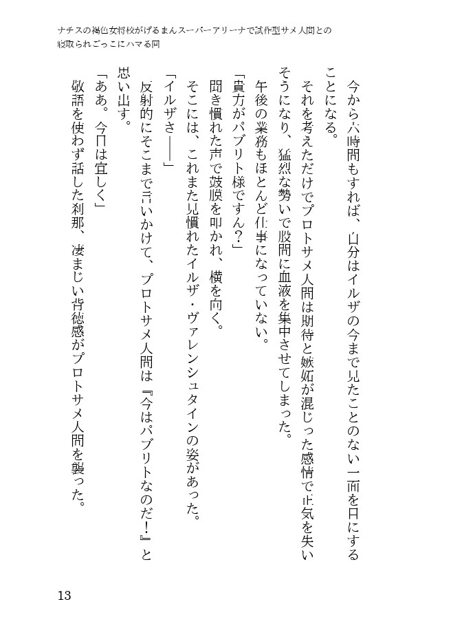 Page 13