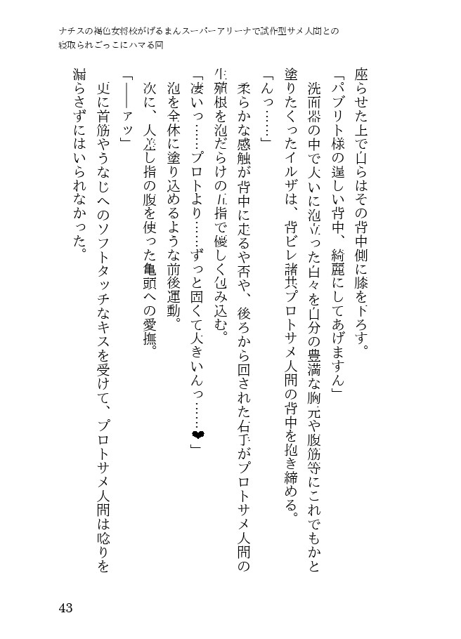 Page 43