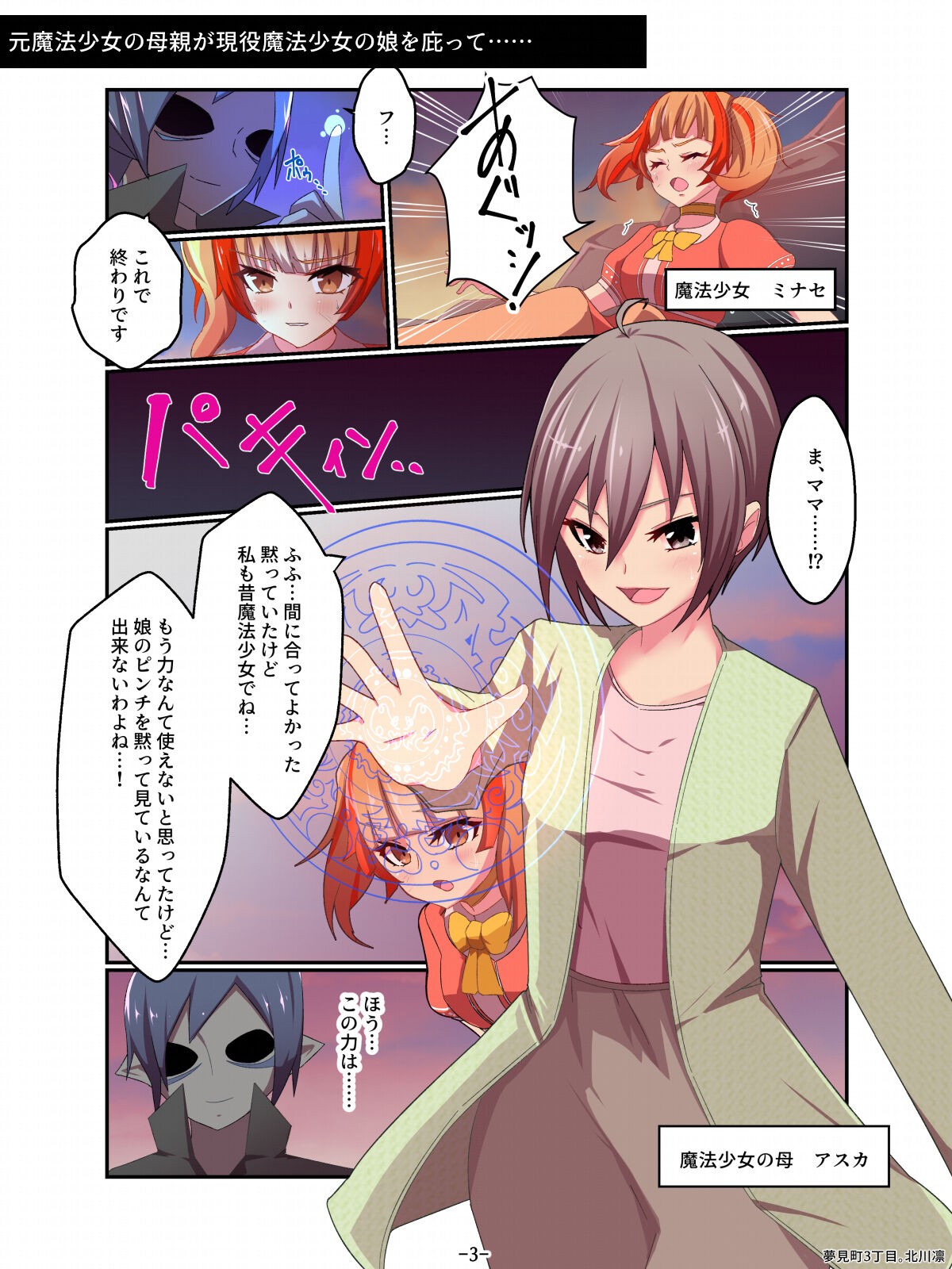 Page 3