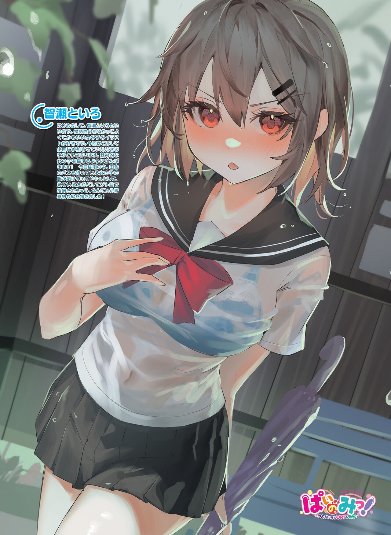 Page 31
