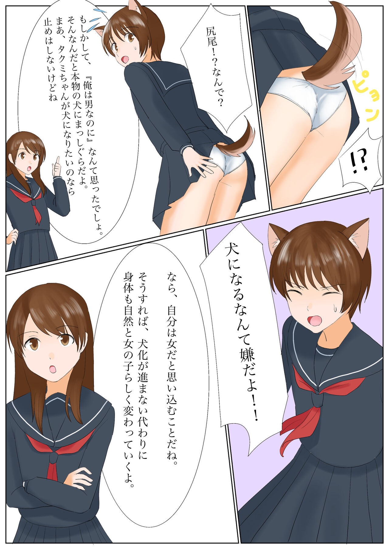 Page 7
