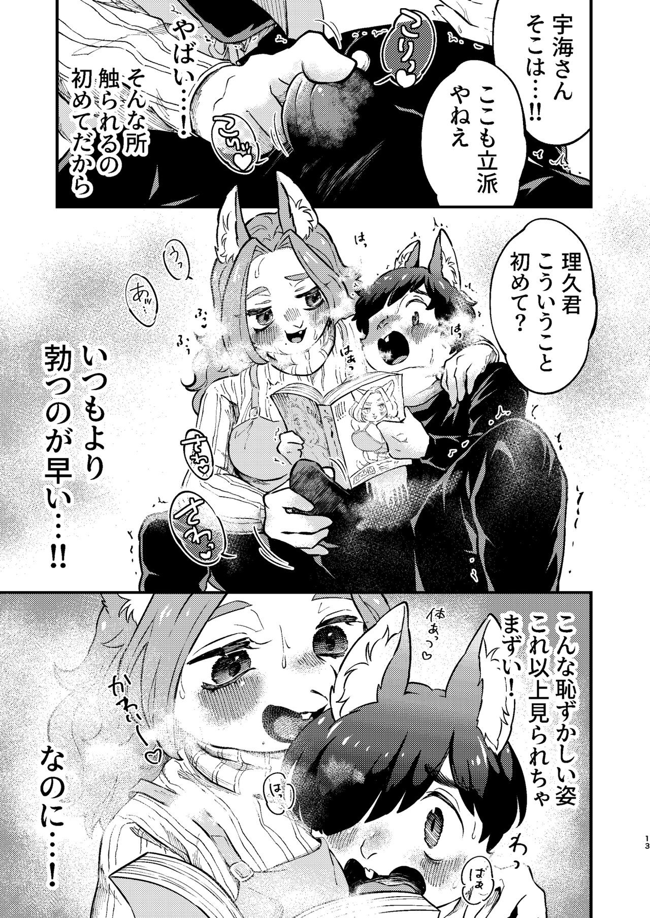 Page 13