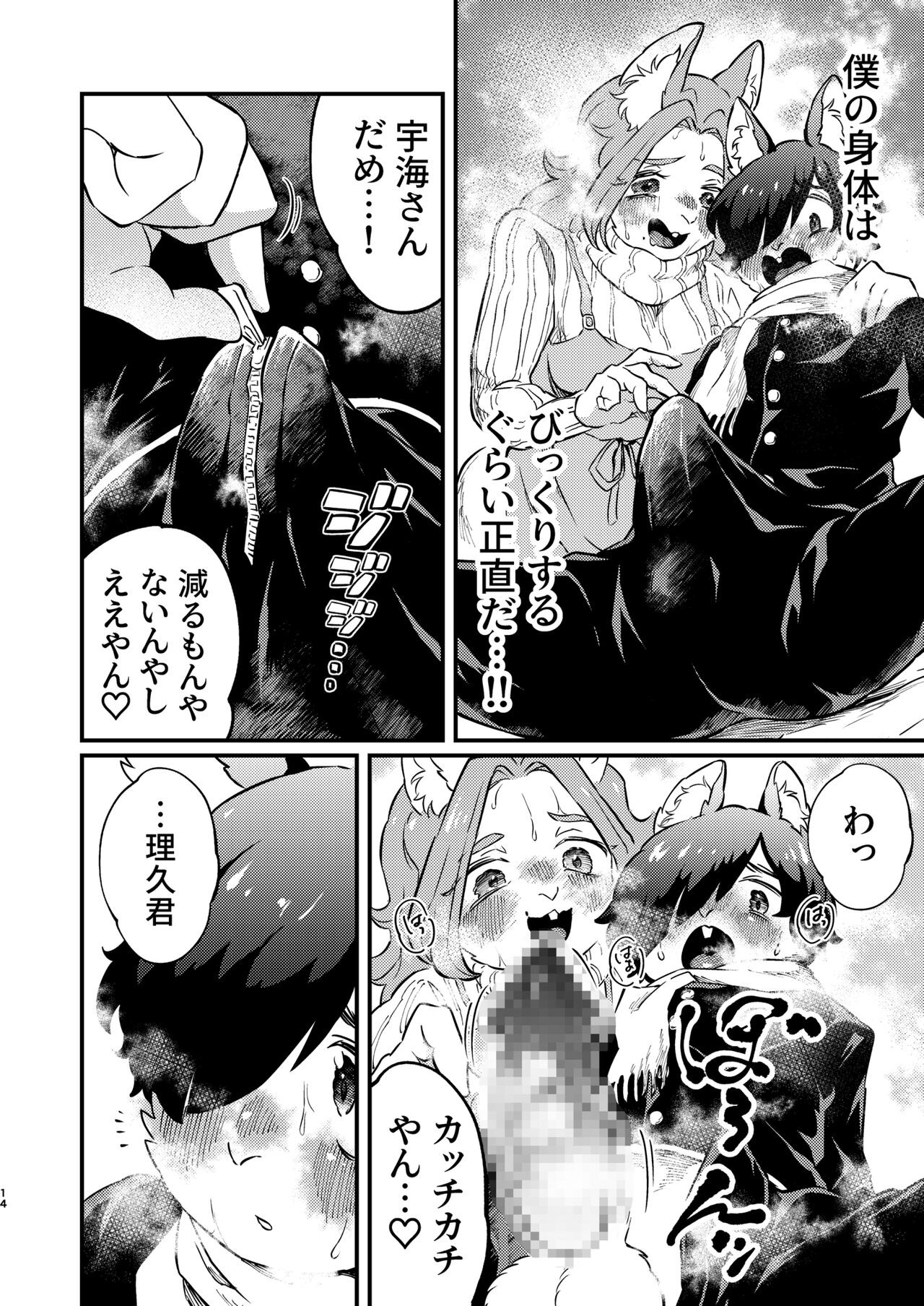 Page 14