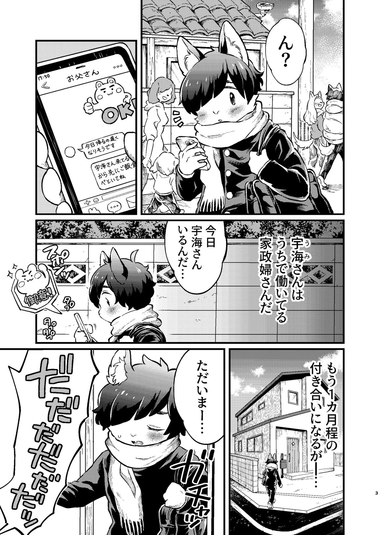 Page 3