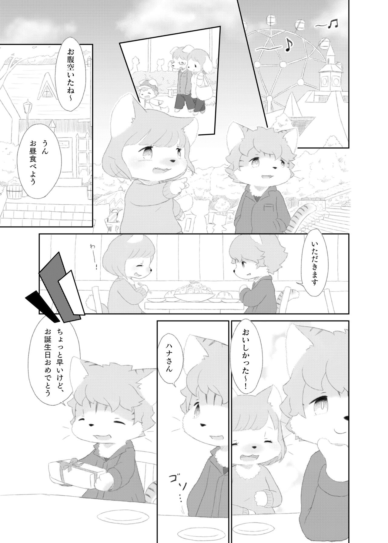 野良猫の首飾り