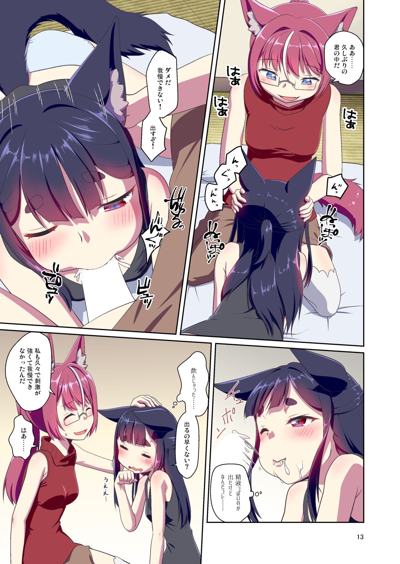 Page 13