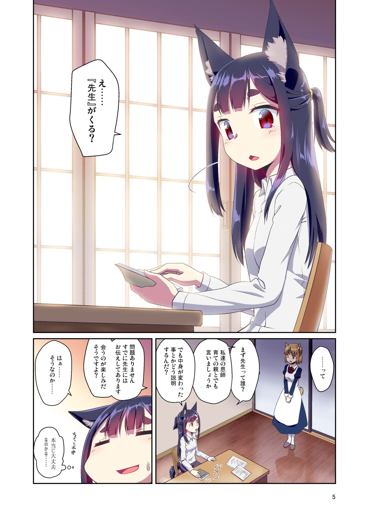 Page 5