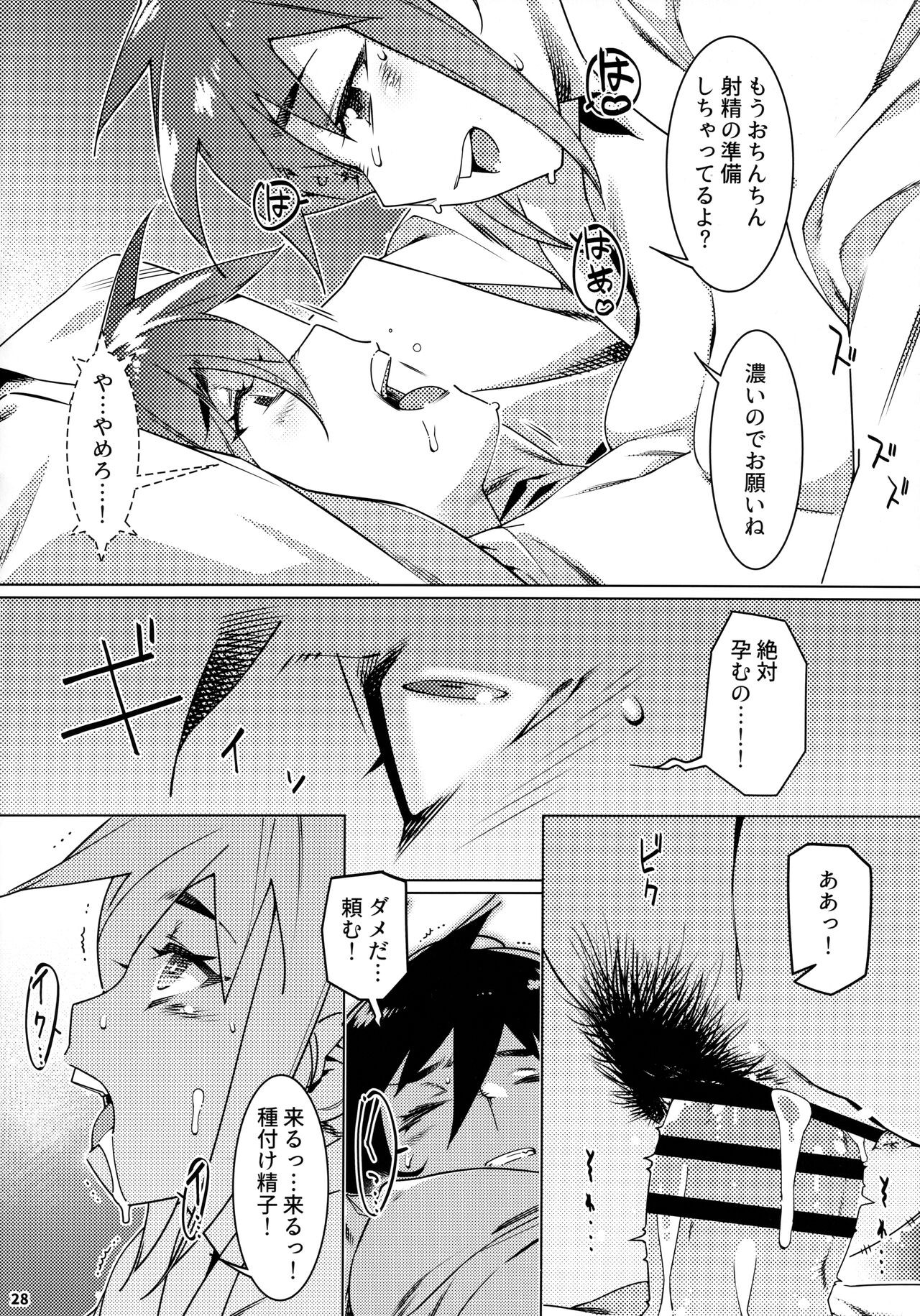 Page 27