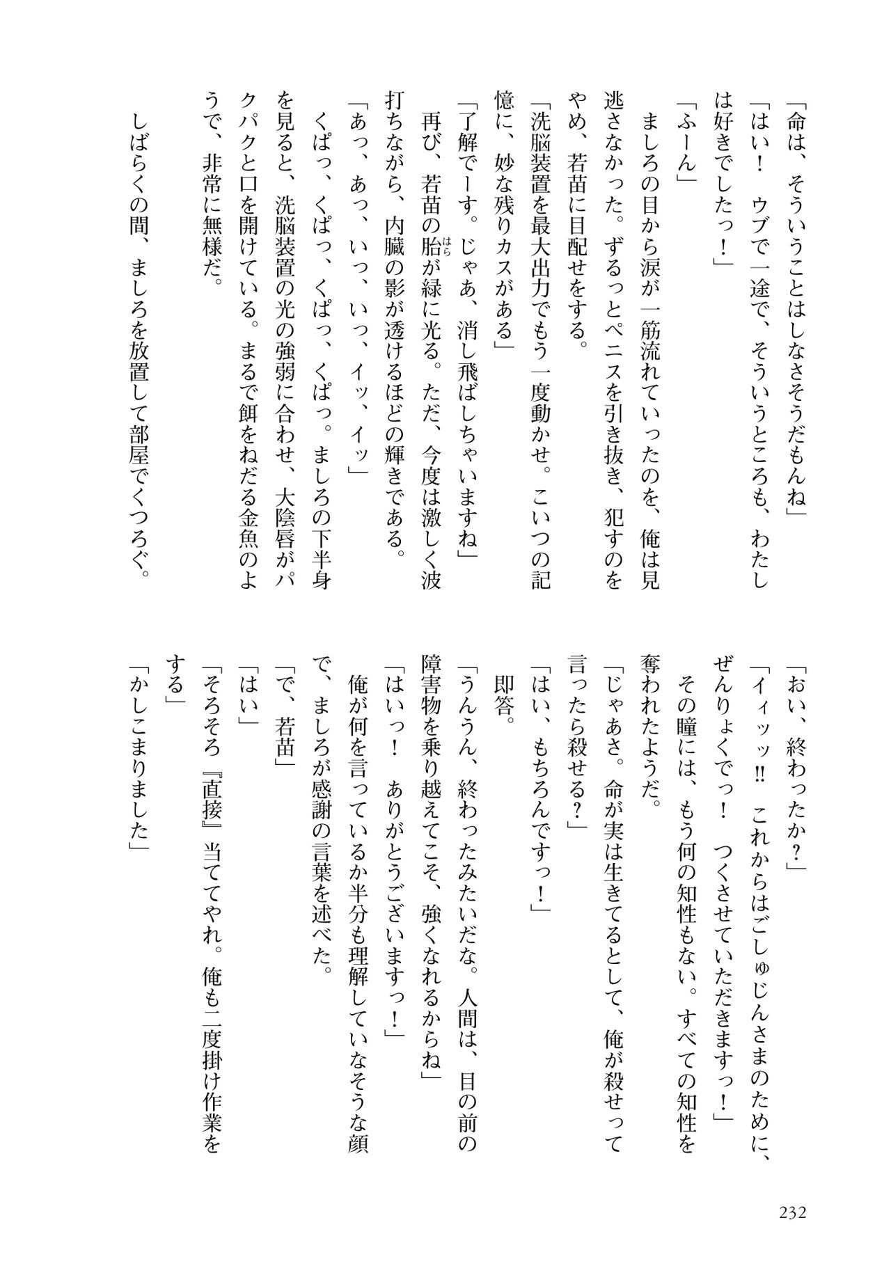 Page 234