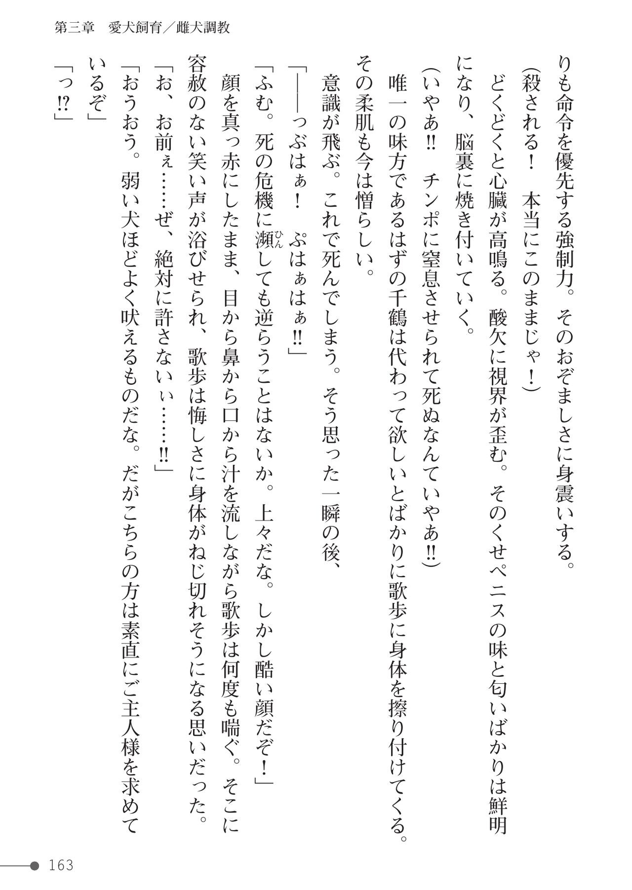 Page 163