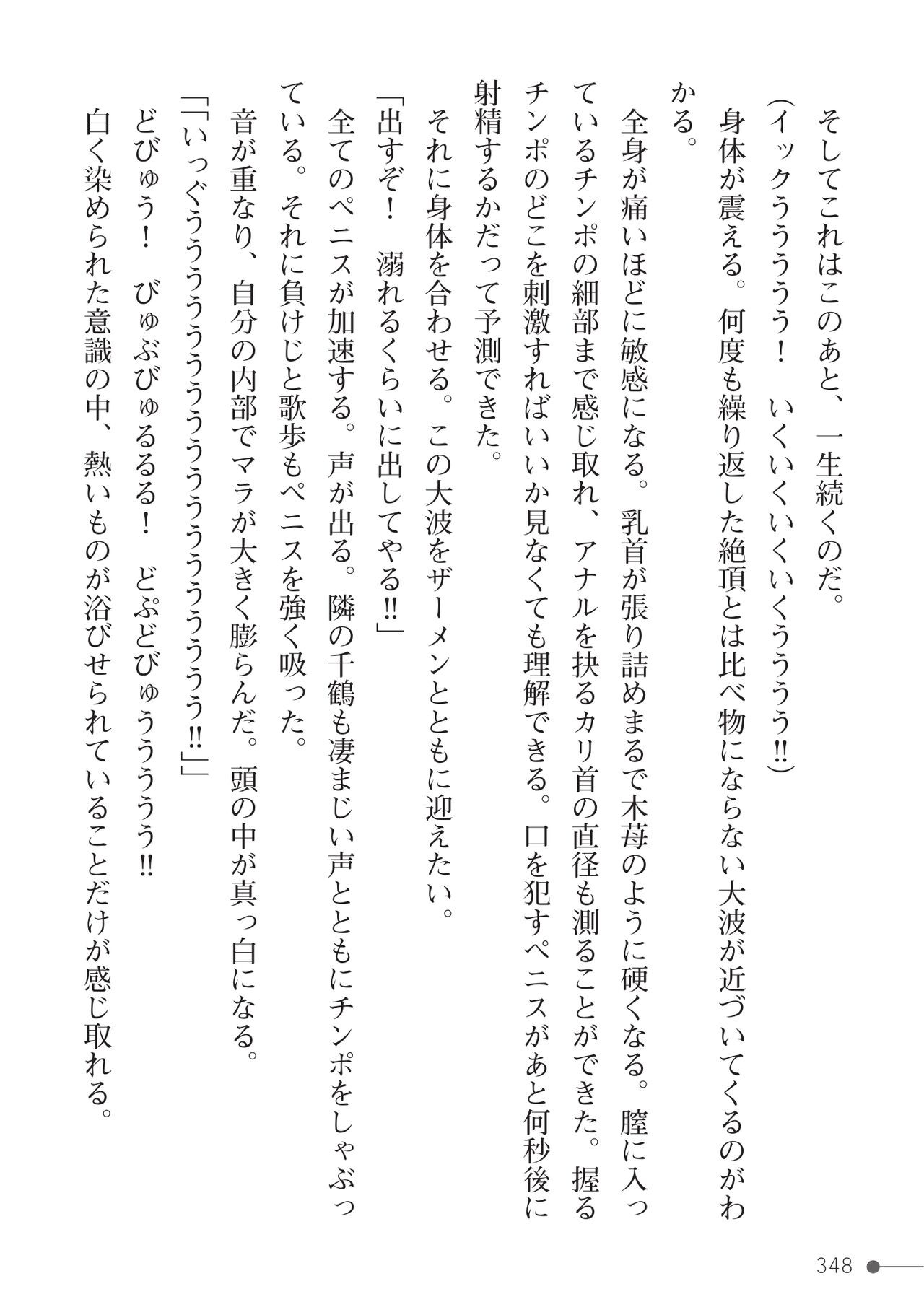 Page 348