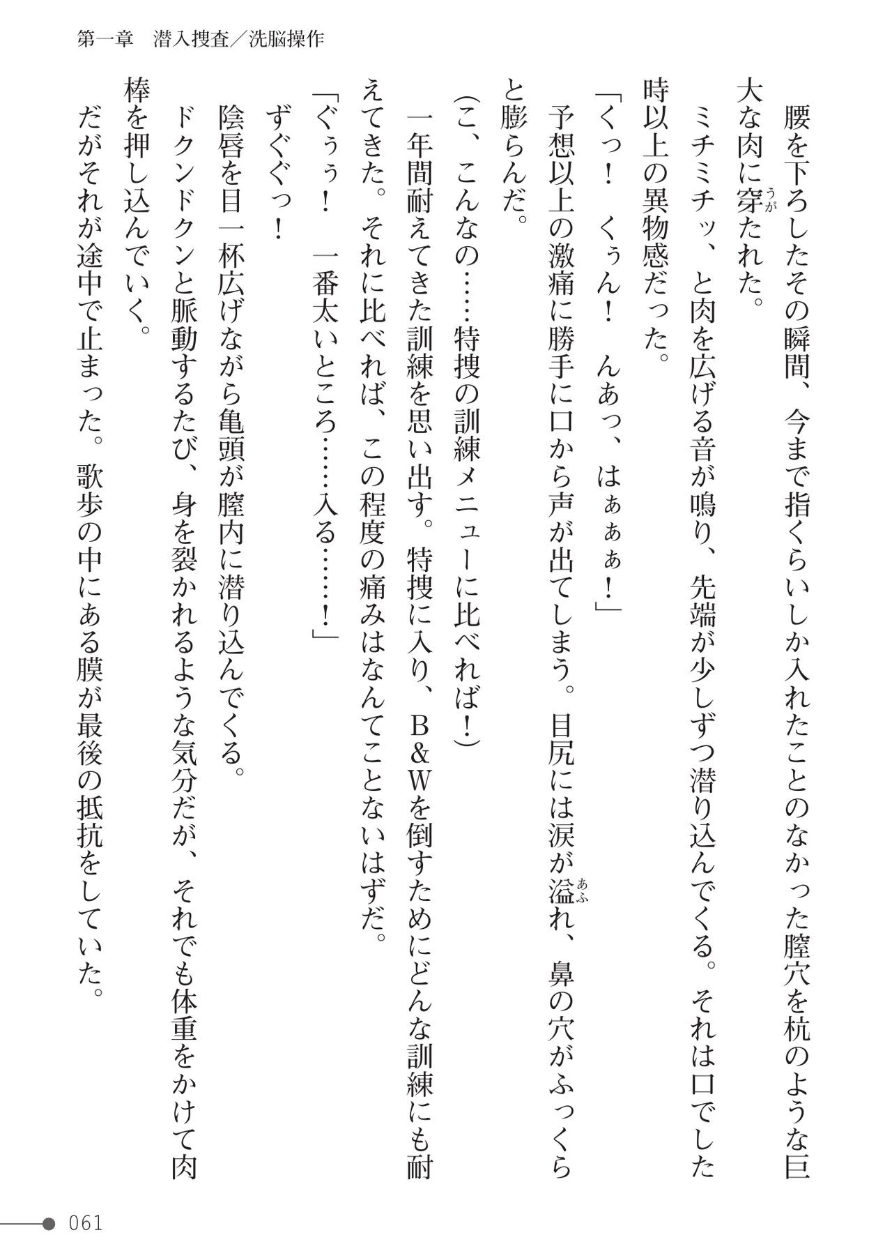 Page 61