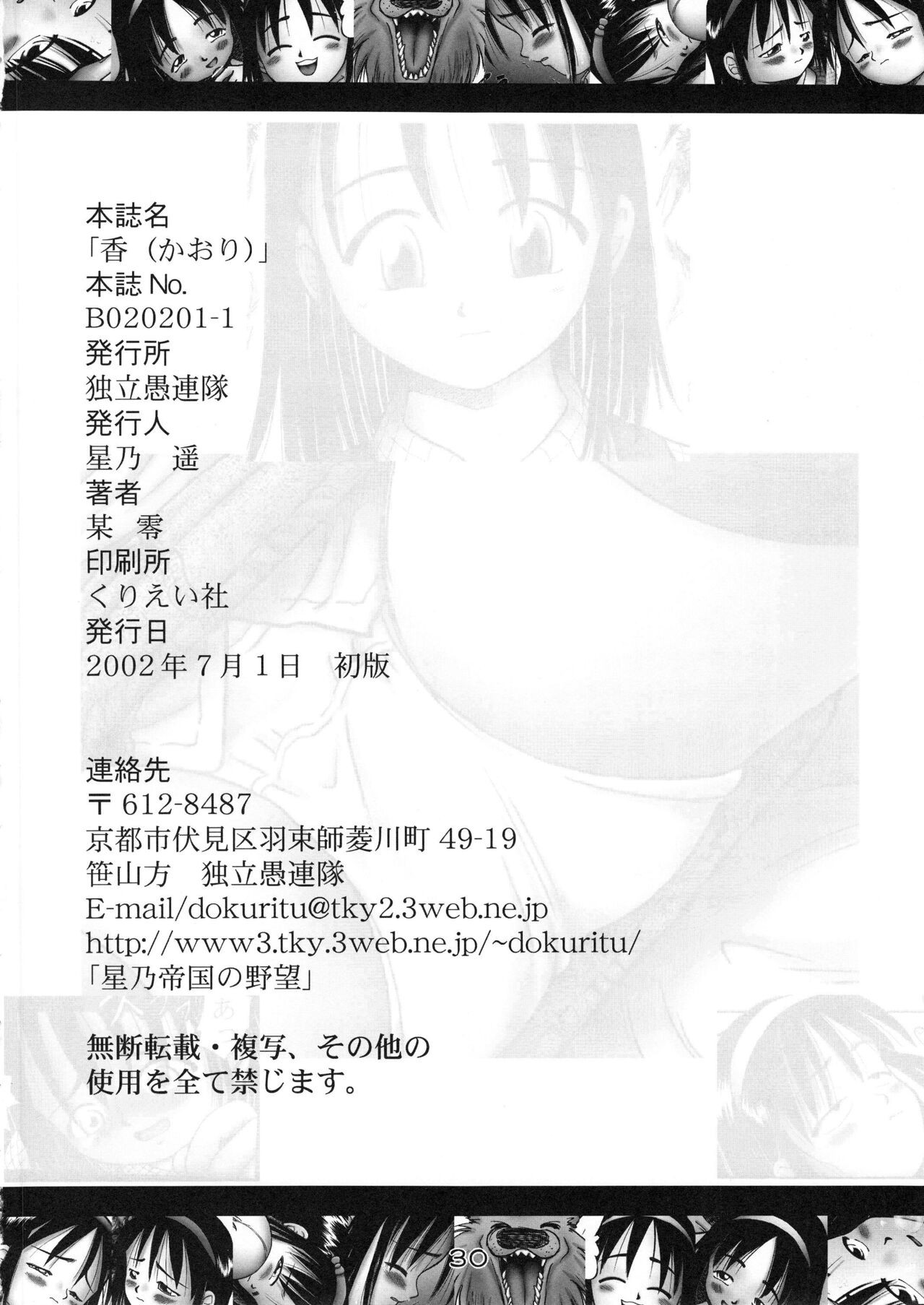 Page 29