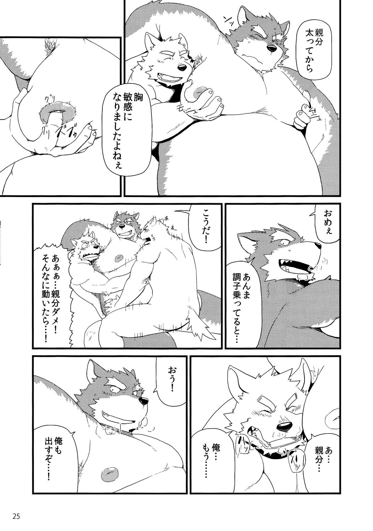 Page 27