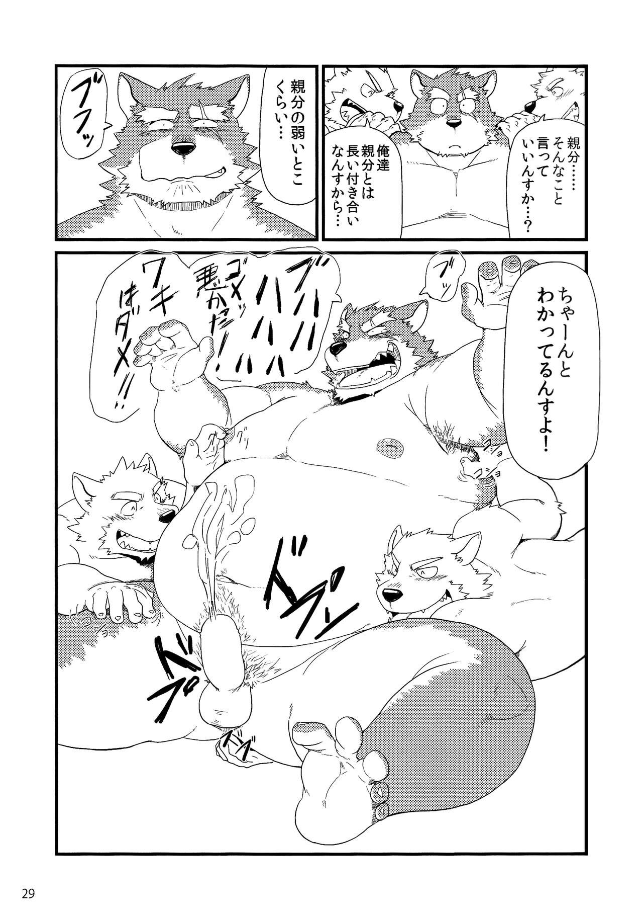 Page 31