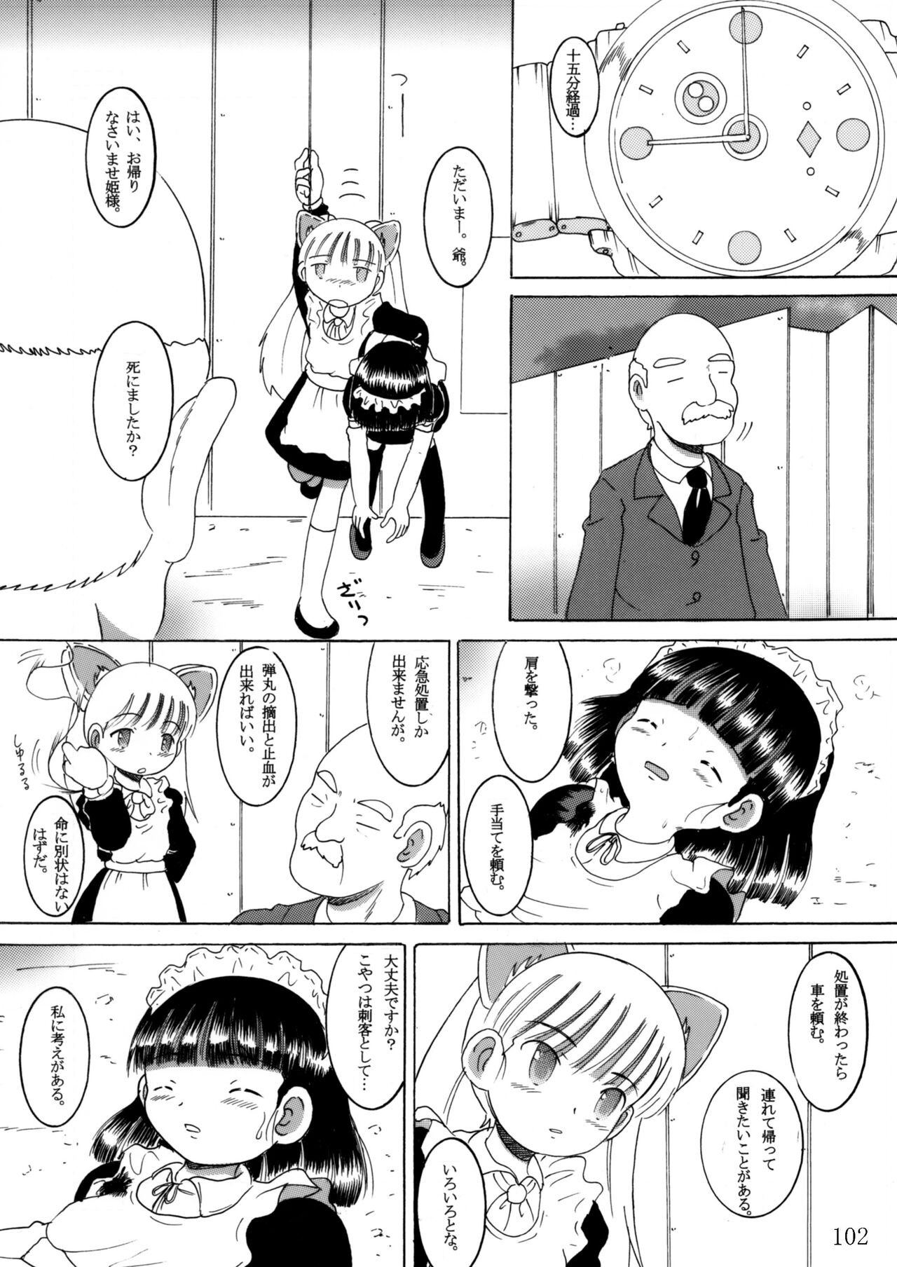 Page 101
