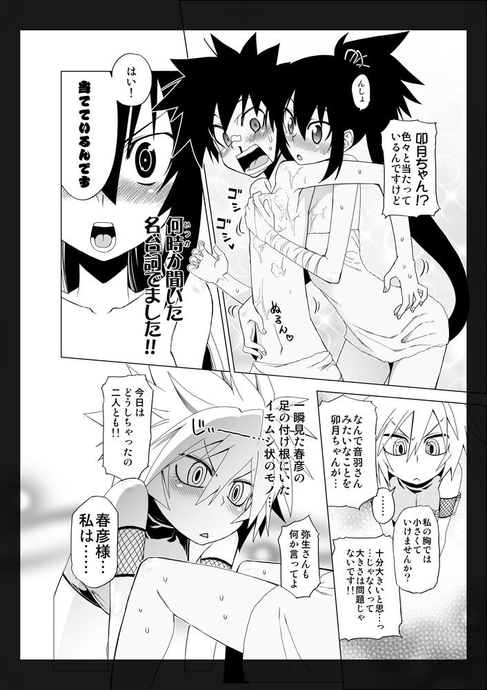 冬コミ新刊サンプル (四稲家の人々)